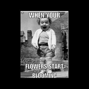 Meet your Posher, Helyn